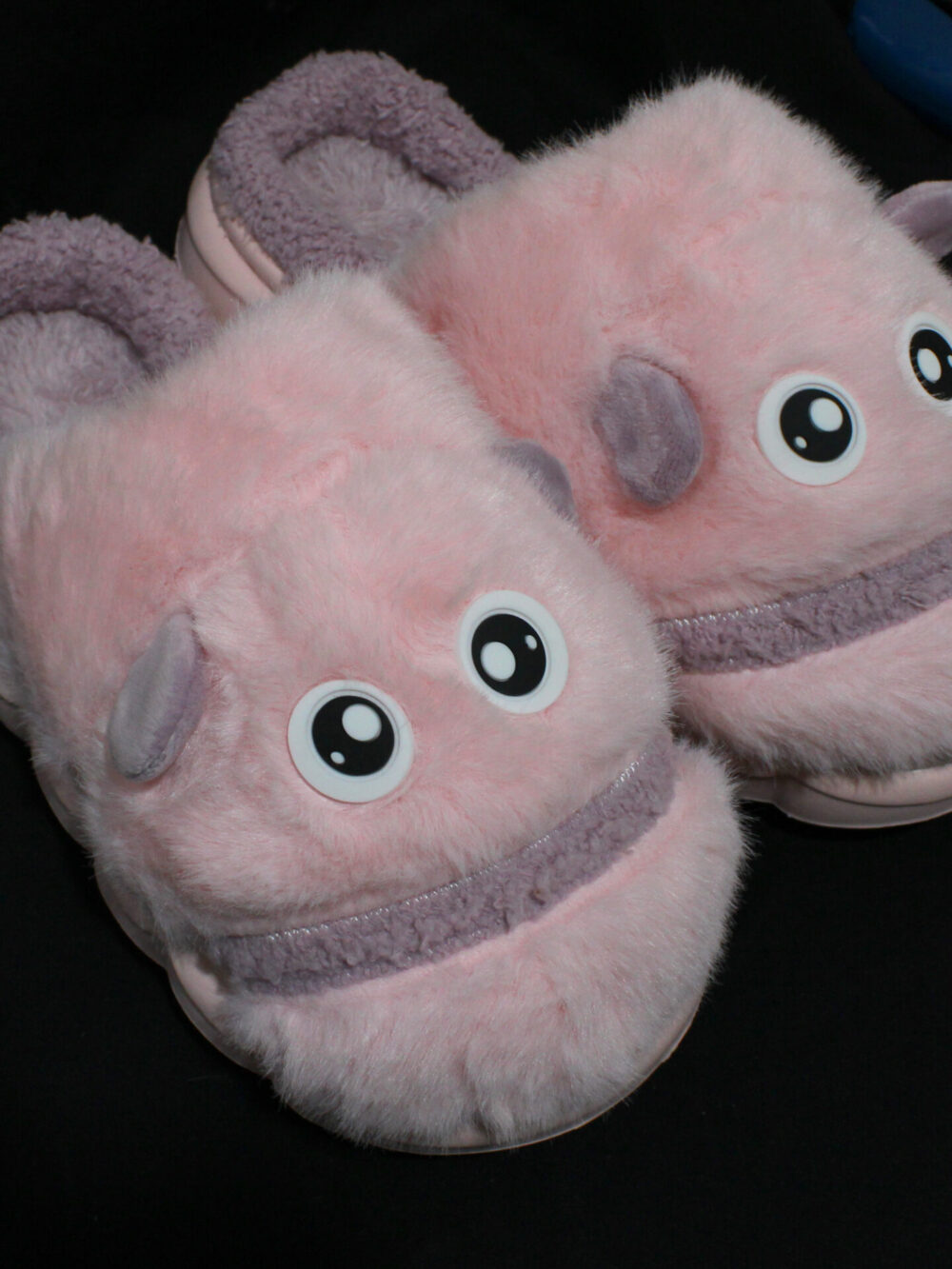 Fish Face Carpet Slipper 288