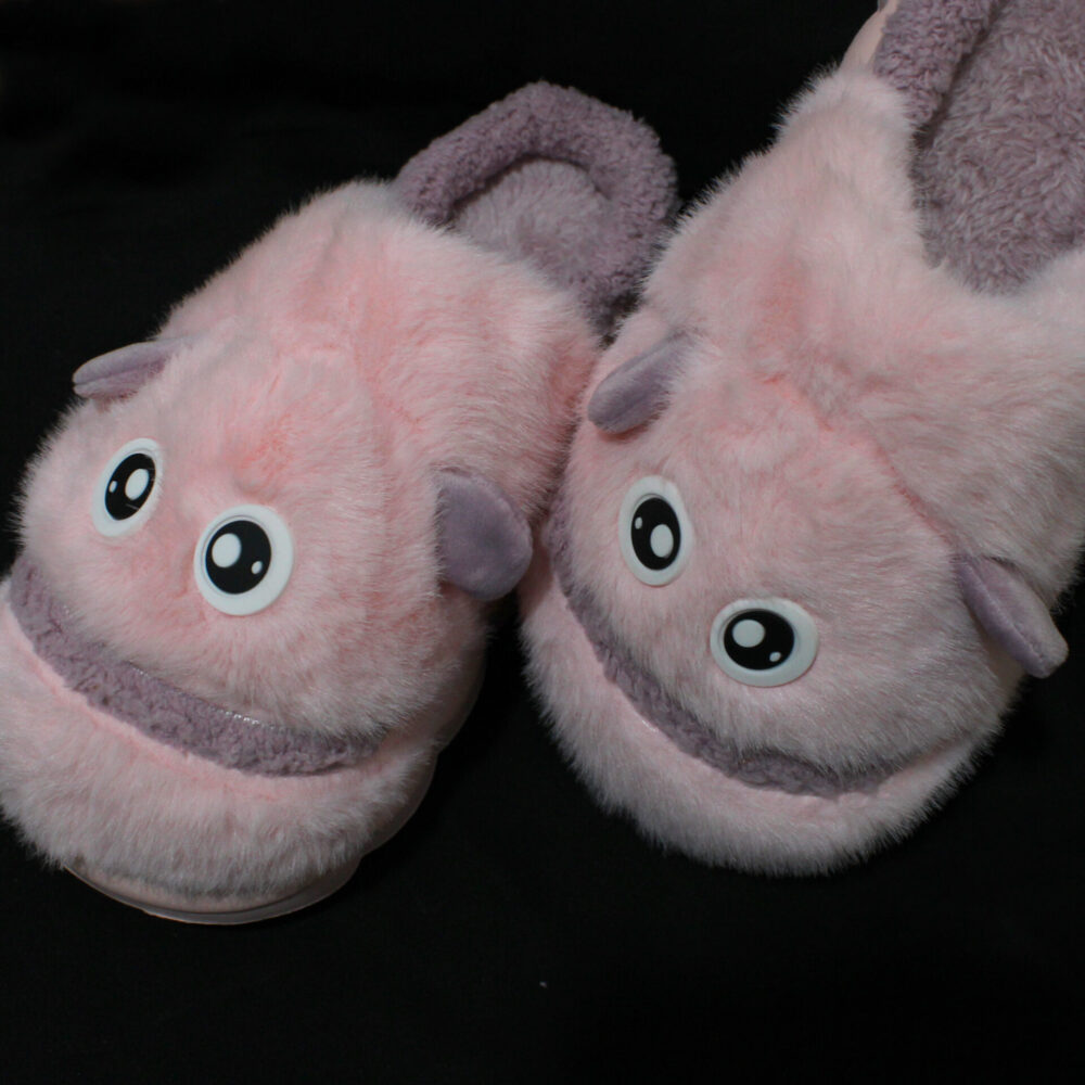 Fish Face Carpet Slipper 288