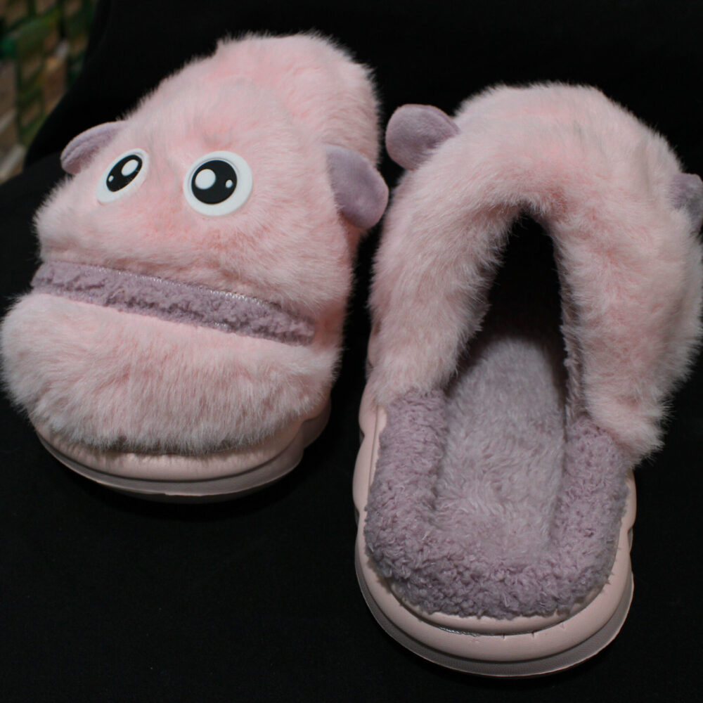 Fish Face Carpet Slipper 288